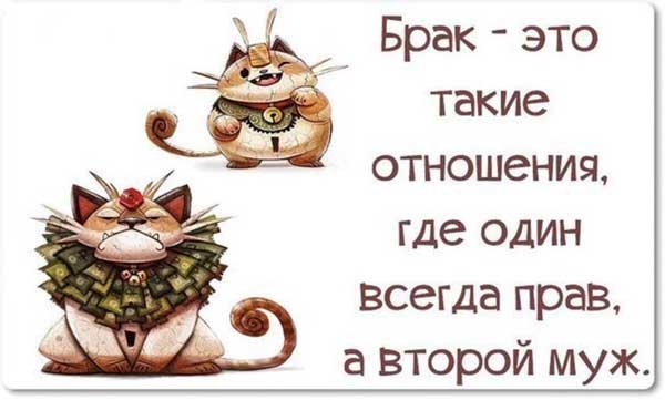 жена всегда права